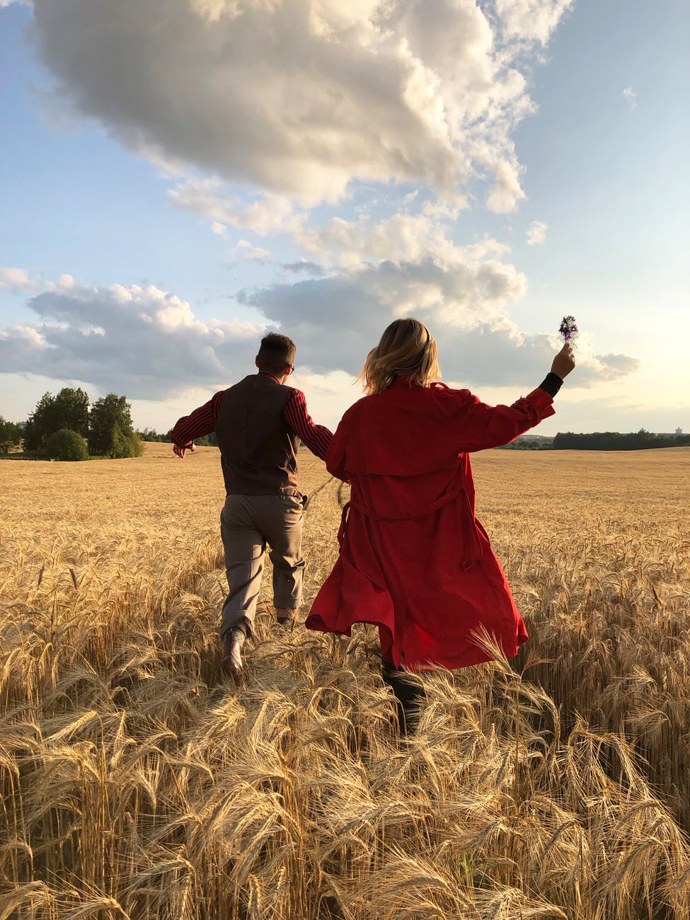 back view of a romantic couple running in the middle of the wheat field